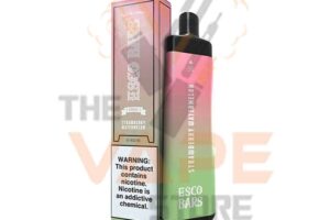 STRAWBERRY WATERMELON MEGA ESCO BAR DISPOSABLE VAPE | 5000 PUFFS IN PAKISTAN