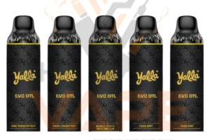 Yalla Evo Dtl Disposable Vape Paan Cranberry -12K Puffs 3MG
